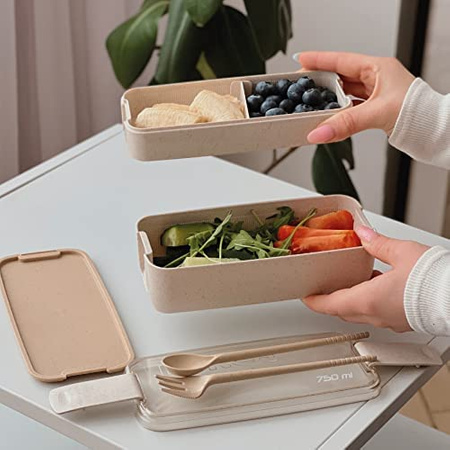Śniadaniówka Lunchbox Pojemnik Na Śniadanie 750ml